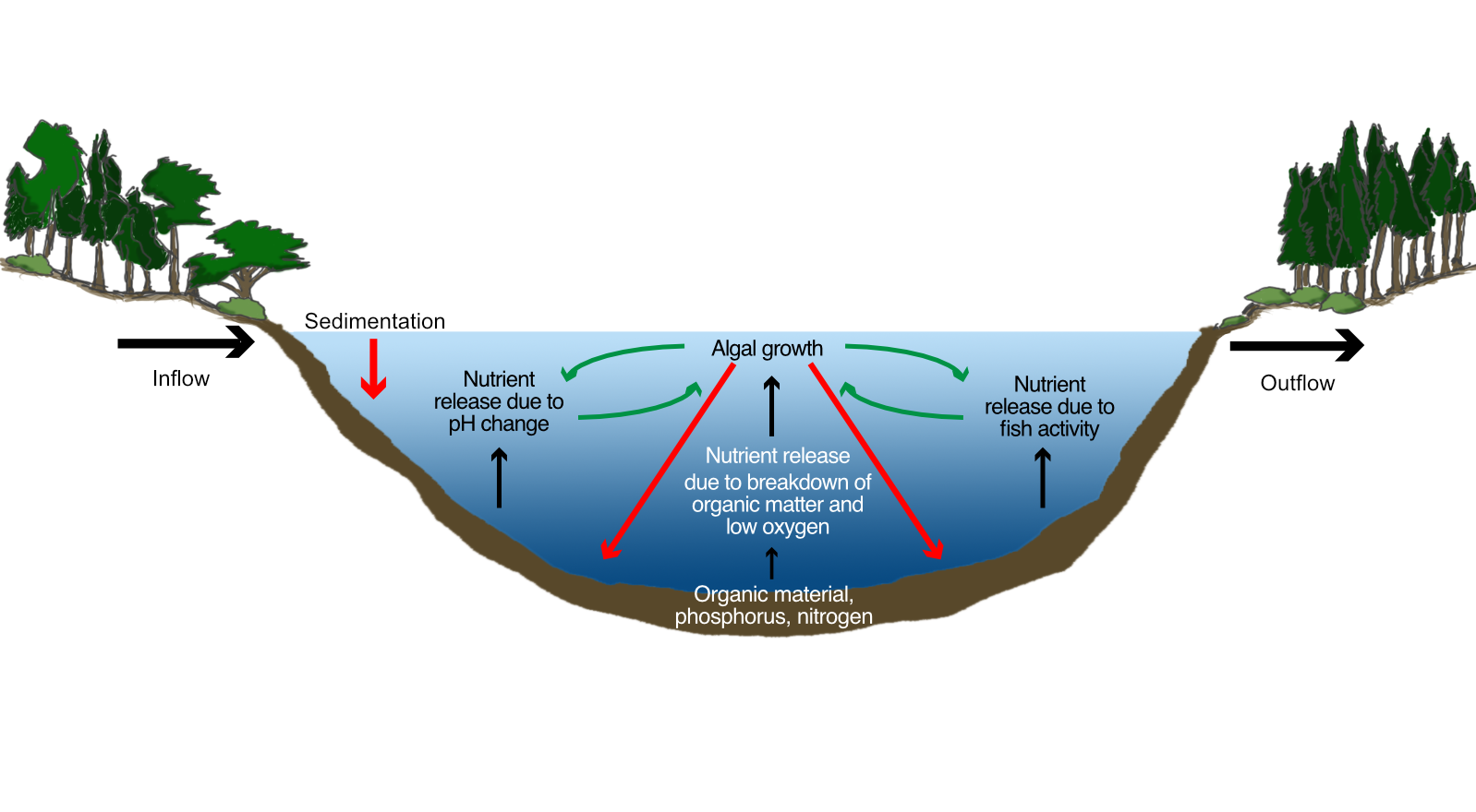 Modeling and Assessment